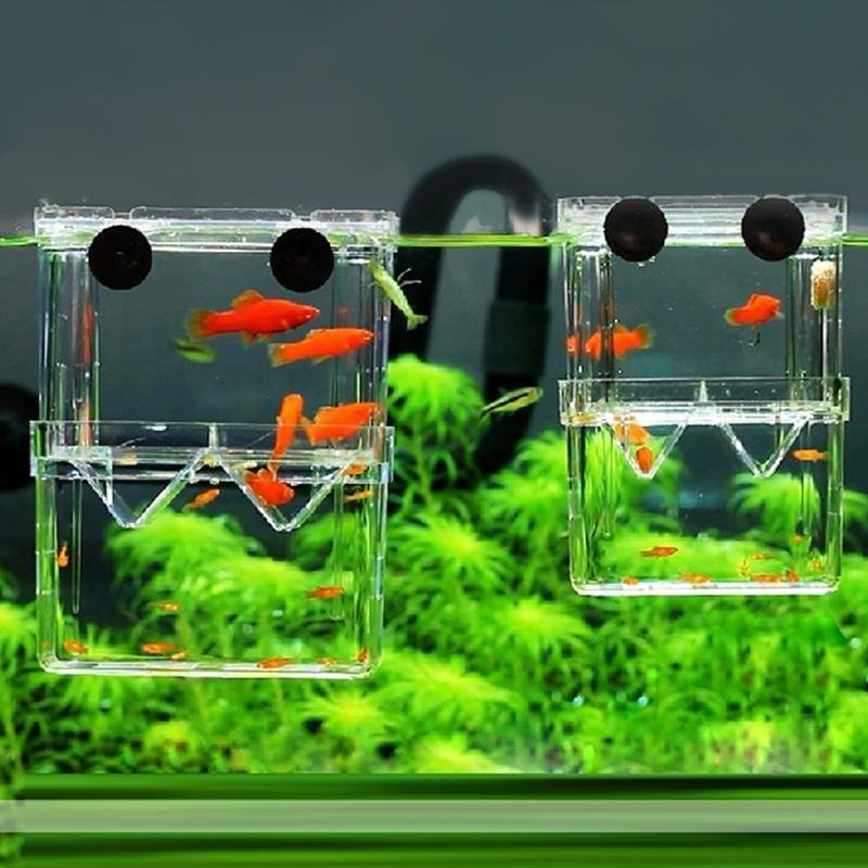 Lab Incubator - Multifunctioneel Visaquarium Hoge Heldere Viskwekerij Isolatiebox