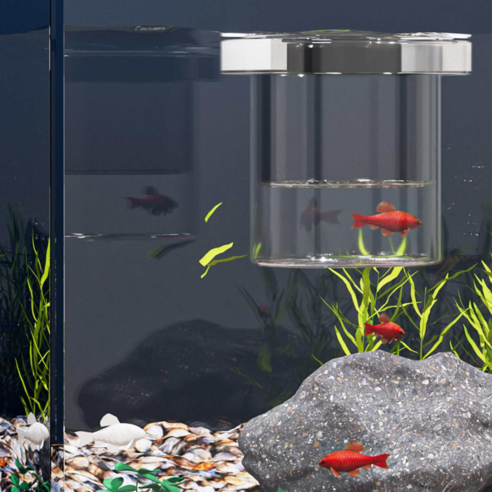 Duurzame viskweekbak, isolatie - Lab Incubator recensie en prijs