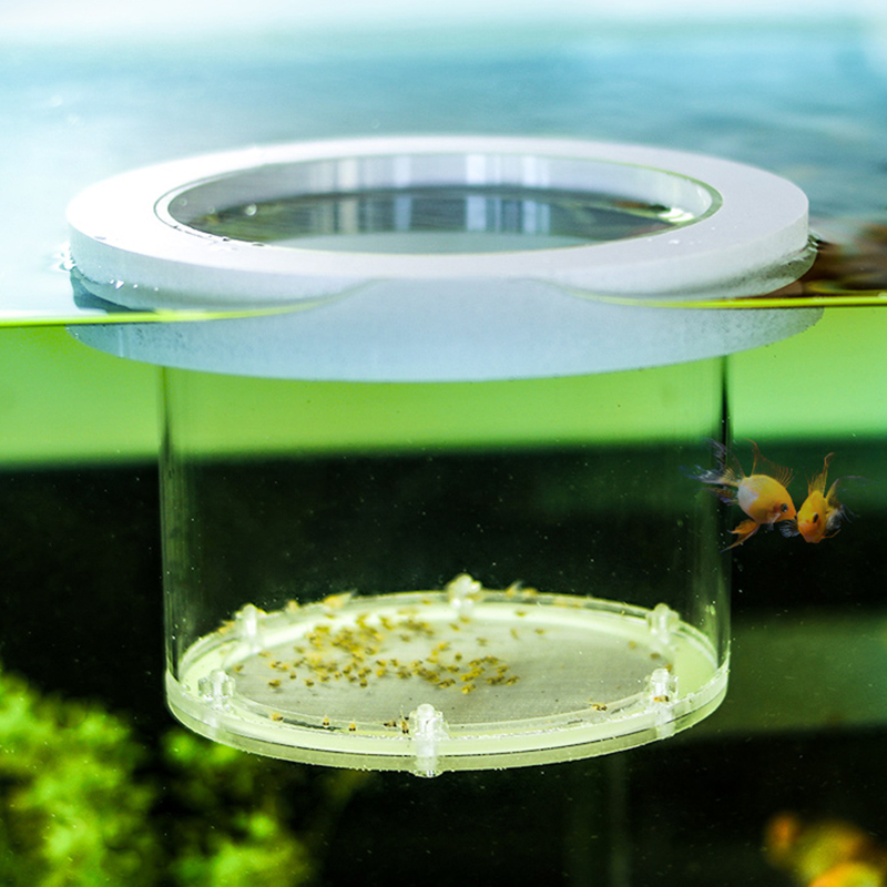 Opgeschort Aquarium Fokken Iso - Lab Incubator recensie en prijs