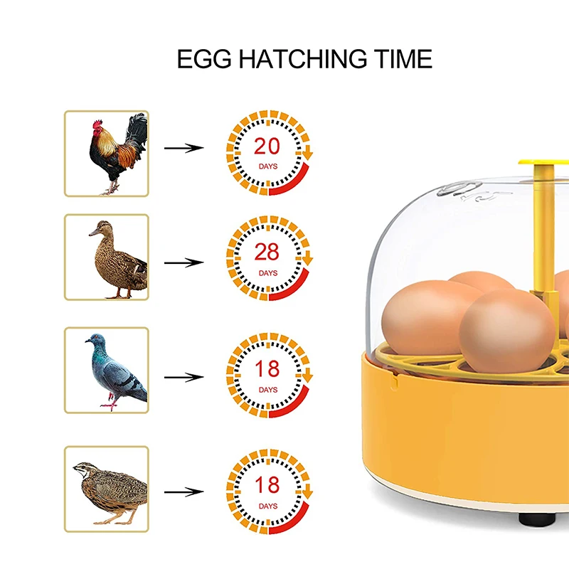 Broedmachine Kip Eend Gans 6 E - Lab Incubator recensie en prijs