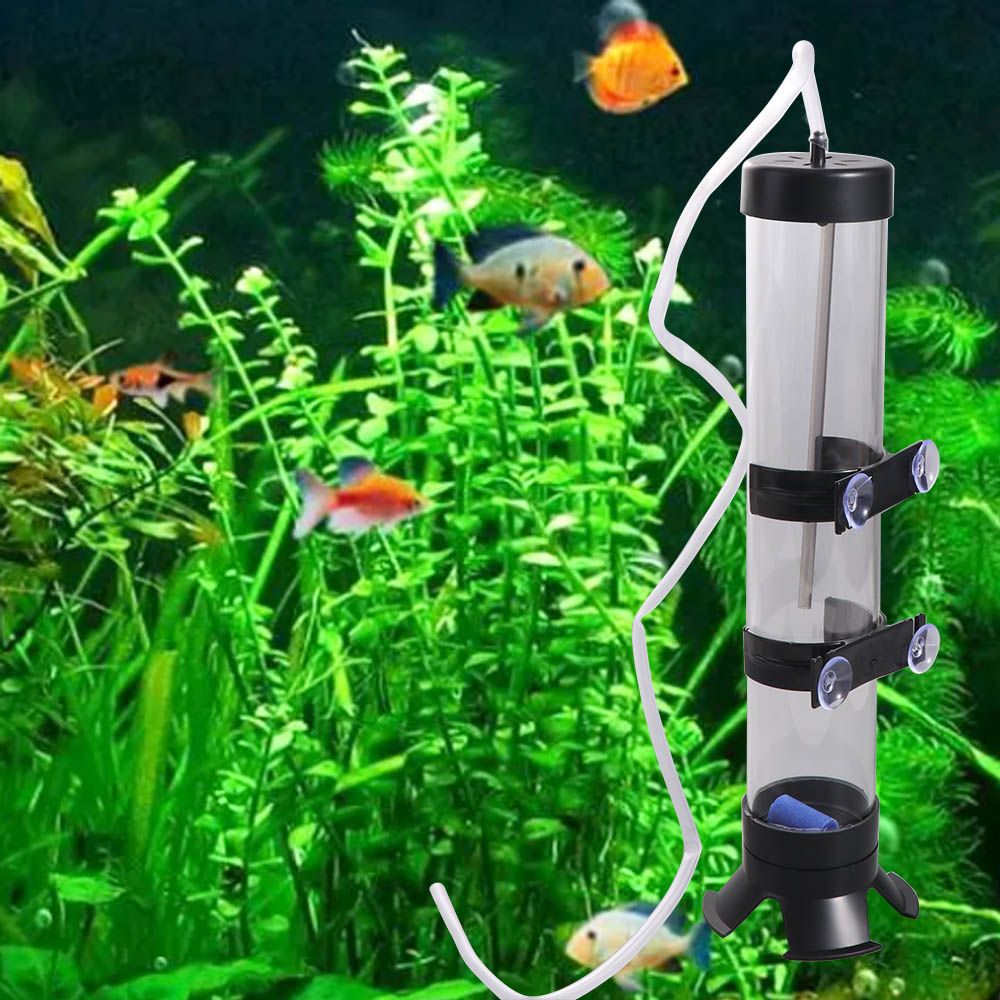 Plastic Artemia-eieren incubat - Lab Incubator recensie en prijs