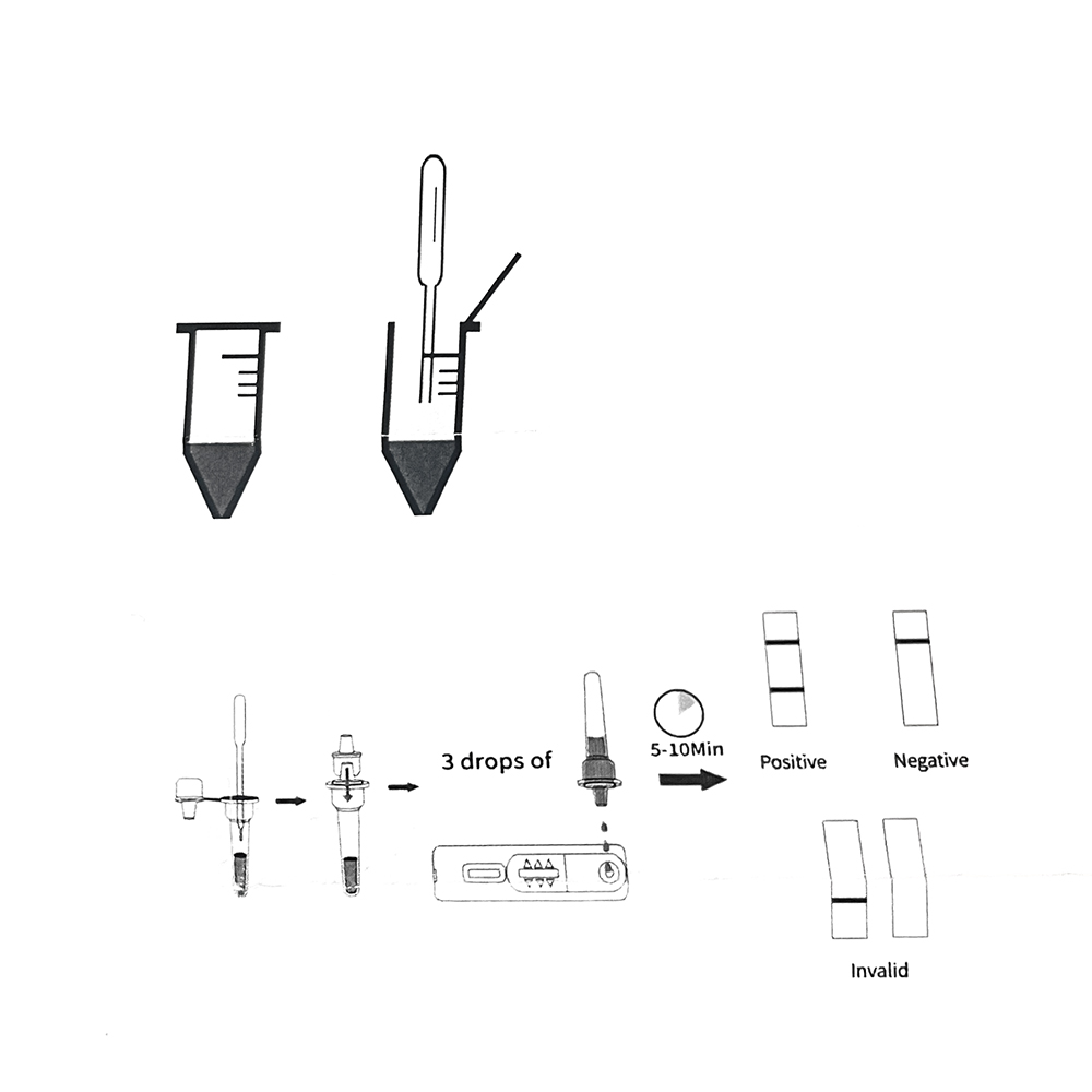 1Set/5Set Professionele Hond Z - Urine Analyzer Strip recensie en prijs