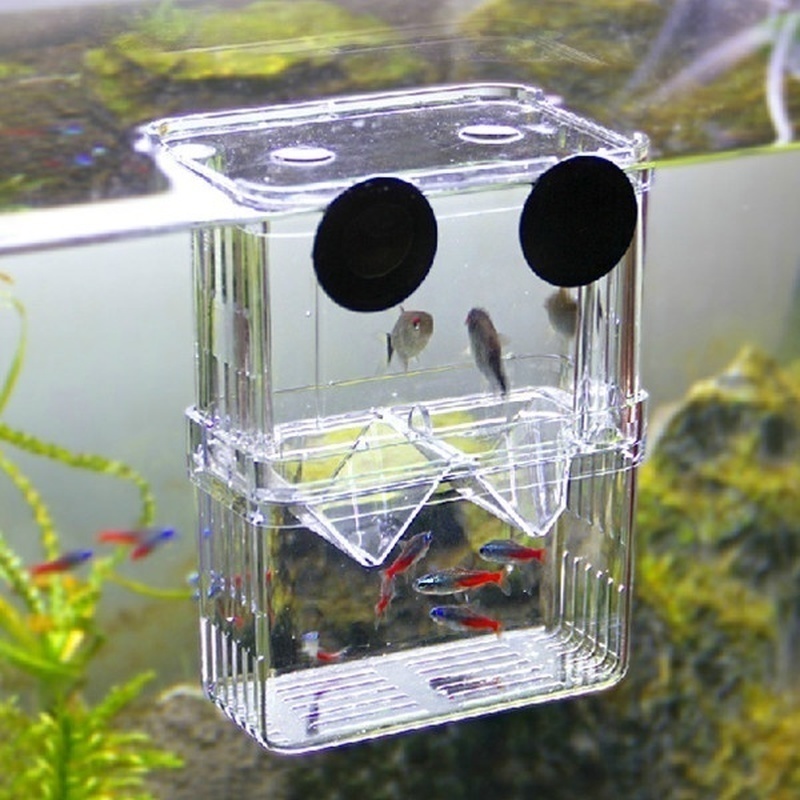 Multifunctioneel Visaquarium H - Lab Incubator recensie en prijs